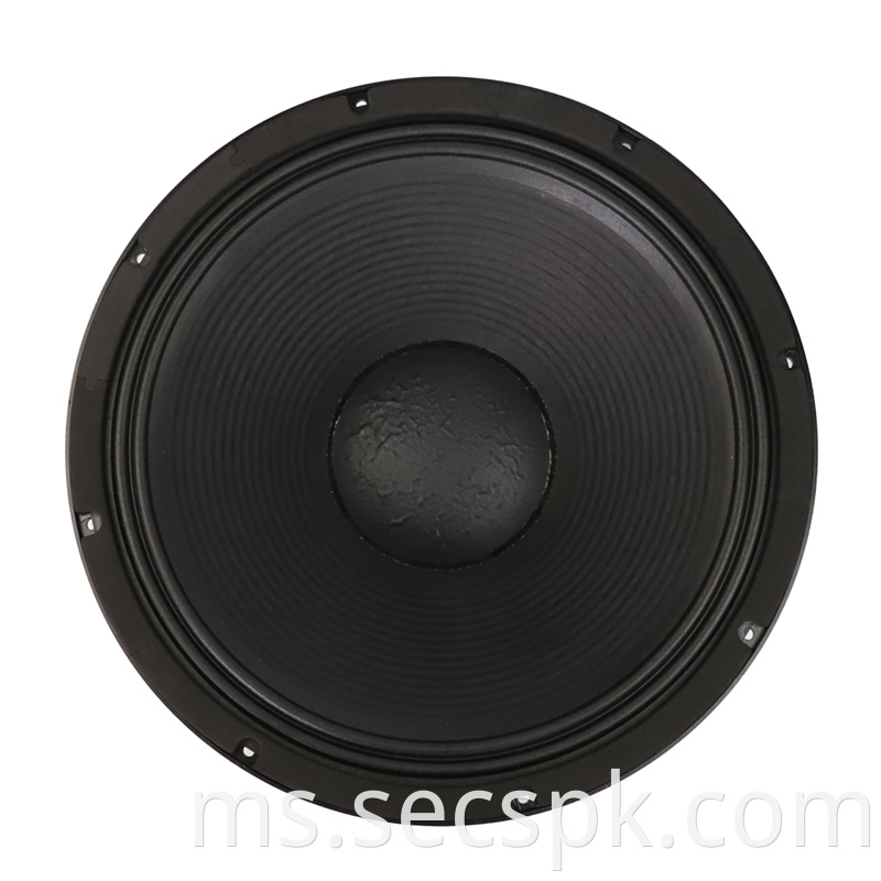 18inch Party Stage Concert Opera Speaker